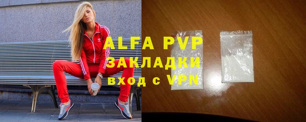твердый Новозыбков