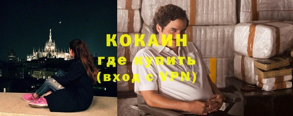 шишки Новокубанск