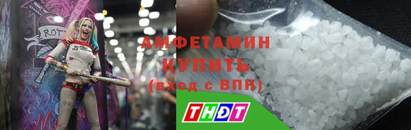 твердый Новозыбков