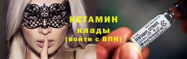 шишки Новокубанск