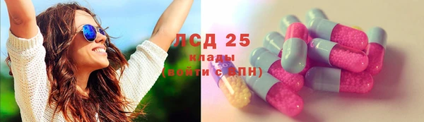 твердый Новозыбков