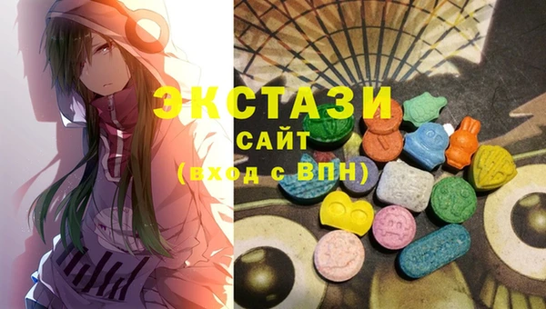 твердый Новозыбков
