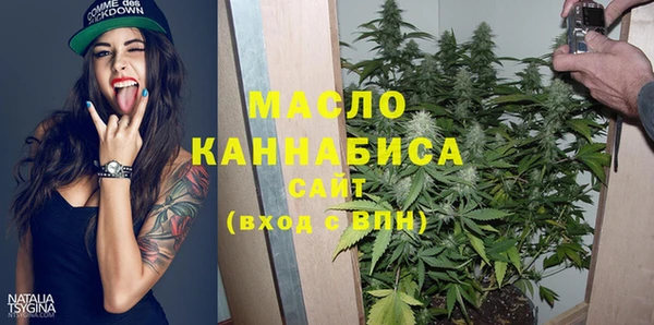 твердый Новозыбков