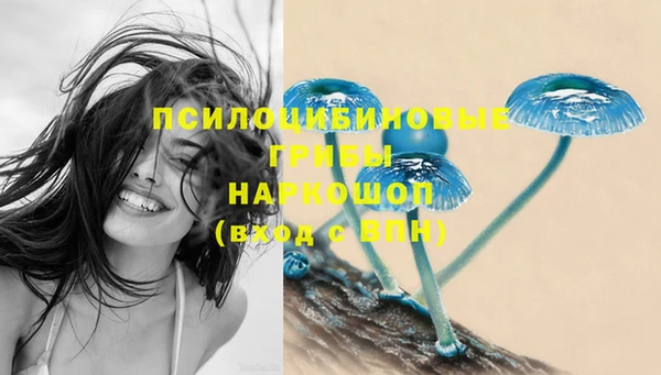 синтетический гашиш Нефтегорск
