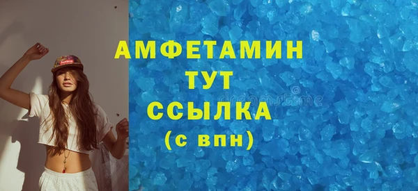 твердый Новозыбков