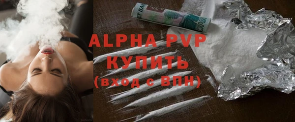 твердый Новозыбков