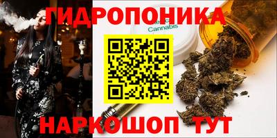 скорость Аргун