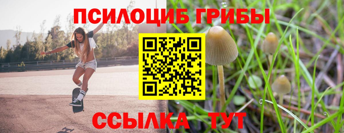 Псилоцибиновые грибы Cubensis Касимов